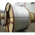 Electrical Wire ACSR for Overhead Power Transmission Lineaerial Elect